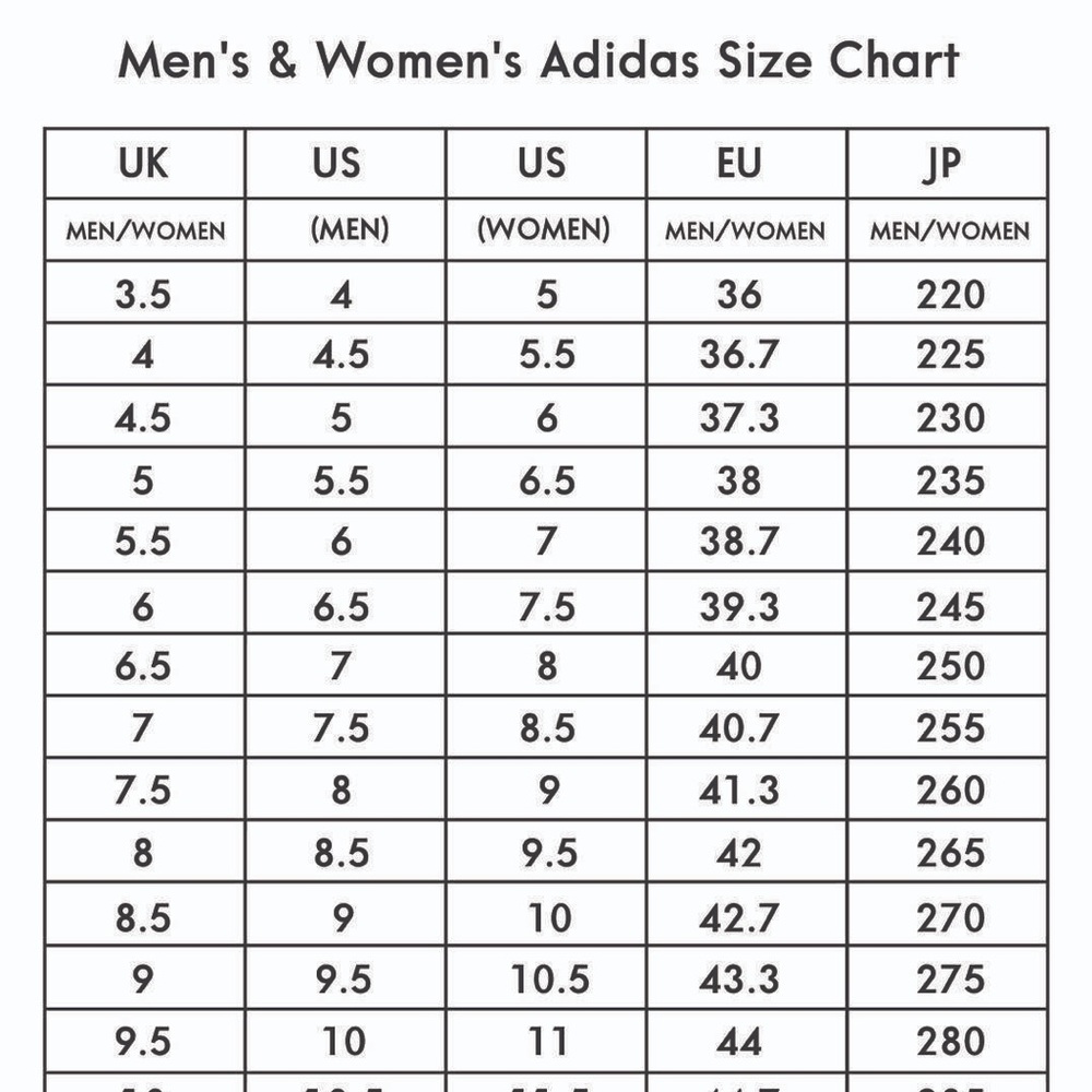 Yeezy Boost 350 V2 - Picture 12 of 12